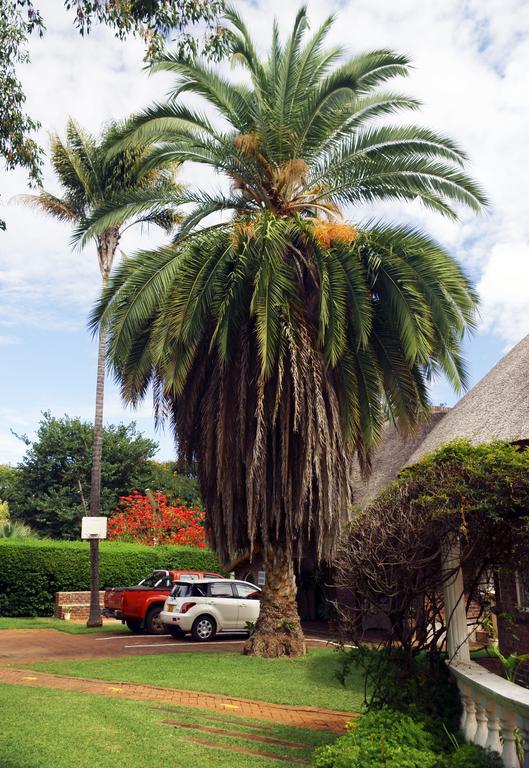 Pakanaka Lodge Harare Exterior photo