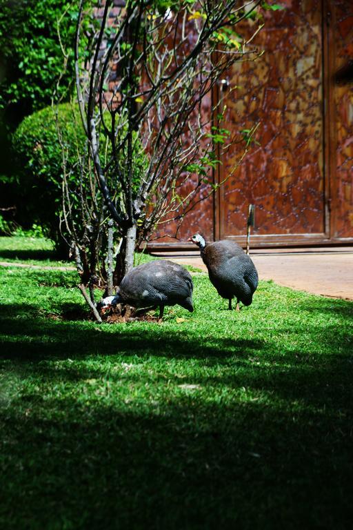 Pakanaka Lodge Harare Exterior photo